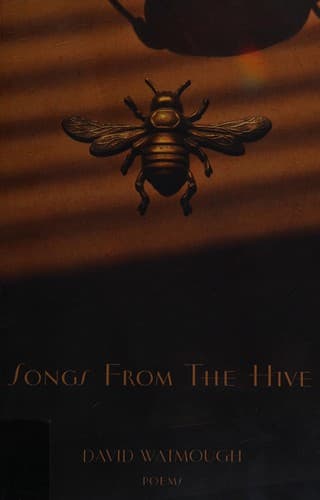 Tapa de Songs from the hive