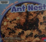 Tapa de Look inside an ant nest