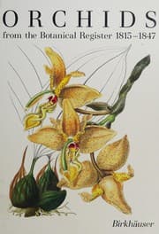 Tapa de Orchids from the Botanical register, 1815-1847