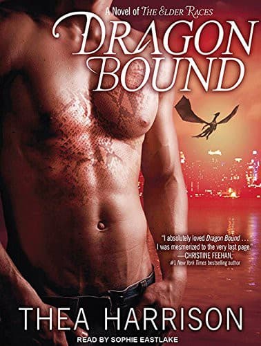 Tapa de Dragon Bound