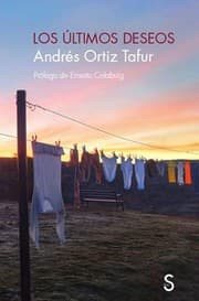 Tapa de Los últimos deseos