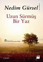 Tapa de Uzun Surmus Bir Yaz