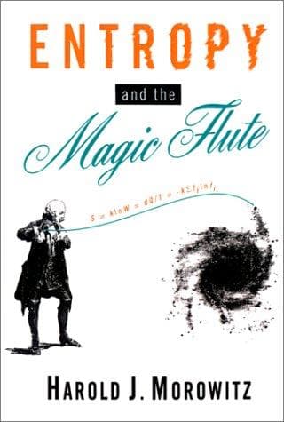 Tapa de Entropy and the magic flute