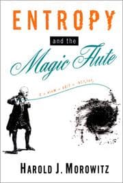 Tapa de Entropy and the magic flute