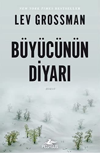 Tapa de Büyücünün Diyari