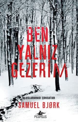 Tapa de Ben Yalniz Gezerim