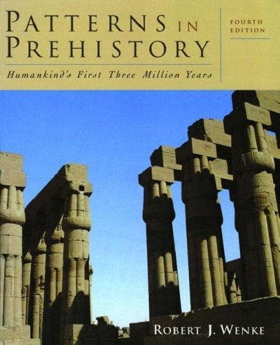 Tapa de Patterns in prehistory