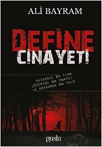 Tapa de Define Cinayeti