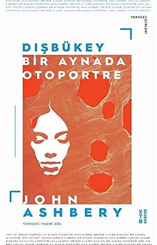 Tapa de Disbükey - Bir Aynada Otoportre