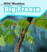 Tapa de Big Freeze (Wild Weather)