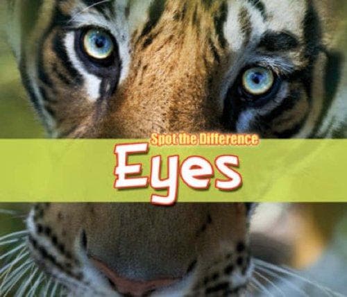 Tapa de Eyes (Spot the Difference)