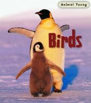 Tapa de Birds (Animal Young)