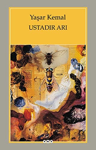 Tapa de Ustadir Ari