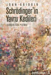 Tapa de Schrödinger's Cat Kittens and the Search for Reality