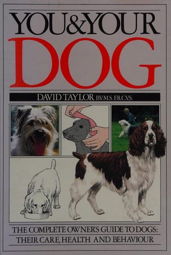 Tapa de You and Your Dog (You & Your)