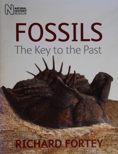 Tapa de Fossils