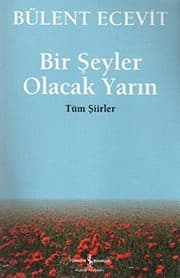 Tapa de Bir Seyler Olacak Yarin
