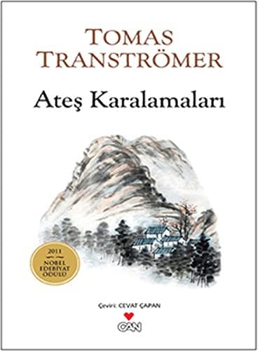 Tapa de Ates Karalamalari