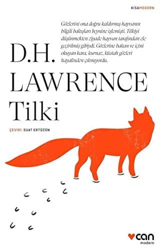 Tapa de Tilki