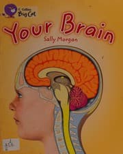 Tapa de Your Brain