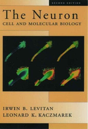 Tapa de The Neuron