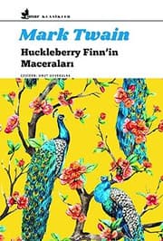 Tapa de Huckleberry Finn'in Maceralari