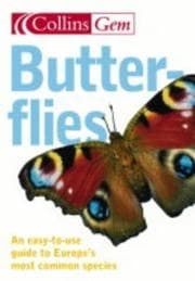 Tapa de Butterflies
