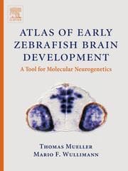 Tapa de Atlas of early zebrafish brain development