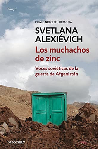 Tapa de Los muchachos de zinc