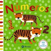Tapa de Libro con relieves. Números
