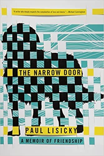 Tapa de The narrow door