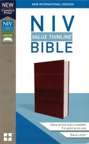 Tapa de NIV Value Thinline Bible Burgundy, Imitation Leather
