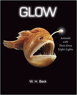 Tapa de Glow : animals with their own night-lights