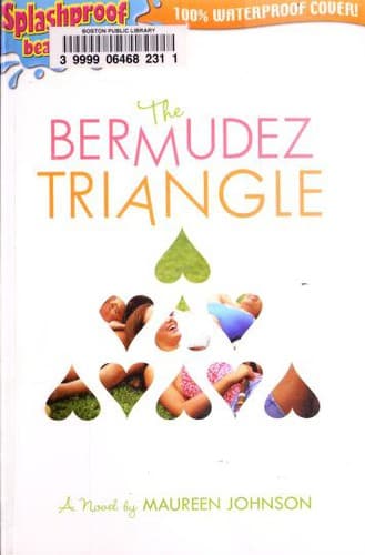Tapa de The Bermudez Triangle : a novel
