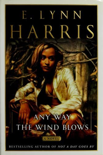 Tapa de Any Way the Wind Blows