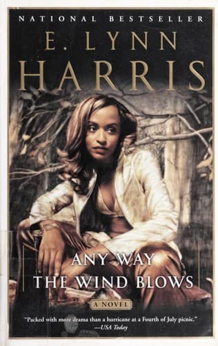 Tapa de Any way the wind blows : a novel
