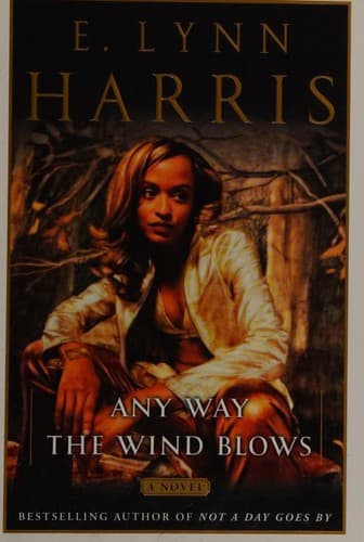Tapa de Any Way the Wind Blows