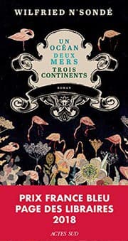 Tapa de Un océan, deux mers, trois continents