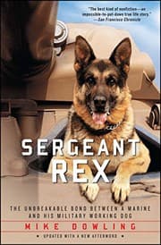Tapa de Sergeant Rex