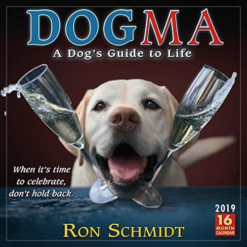 Tapa de Dogma 2019 Wall Calendar