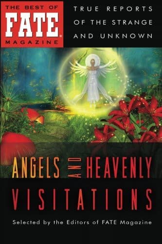 Tapa de Angels and Heavenly Visitations