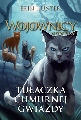 Tapa de Tułaczka Chmurnej Gwiazdy