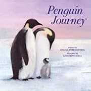 Tapa de Penguin Journey