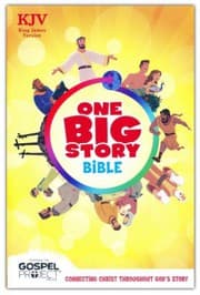 Tapa de KJV One Big Story Bible, hardcover