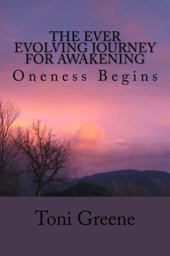 Tapa de The Ever Evolving Journey For Awakening