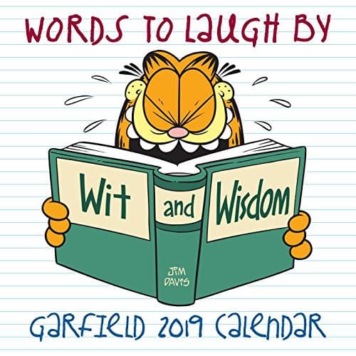 Tapa de Garfield 2019 Mini Wall Calendar