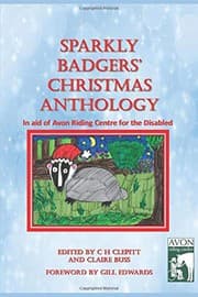 Tapa de Sparkly Badgers' Christmas Anthology