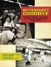 Tapa de Bittersweet Goodbye