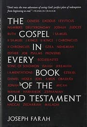 Tapa de The Gospel in Every Book of the Old Testament