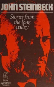 Tapa de Stories from the Long Valley